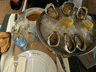 Oysters in Le Petit Zinc restaurant 