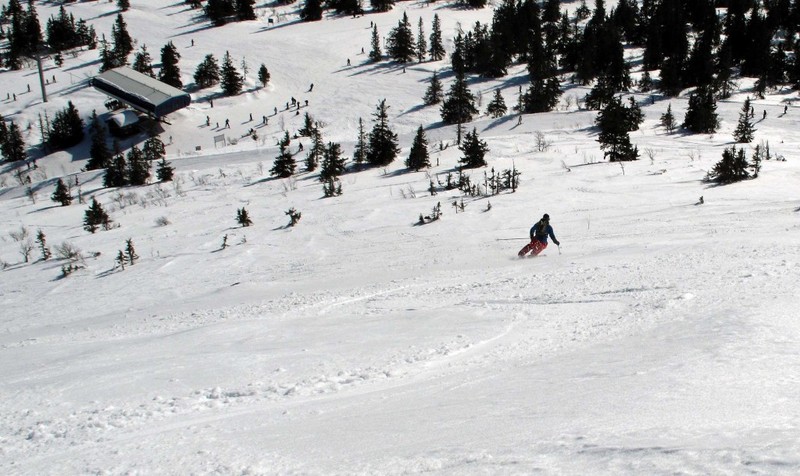 Skiing