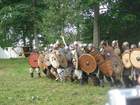Apuole 854” festival of crafts and warfare
